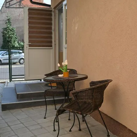 Golden Star Viktor * Zaječar